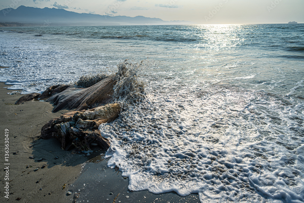 Dungeness National Wildlife Refuge, in Washington State