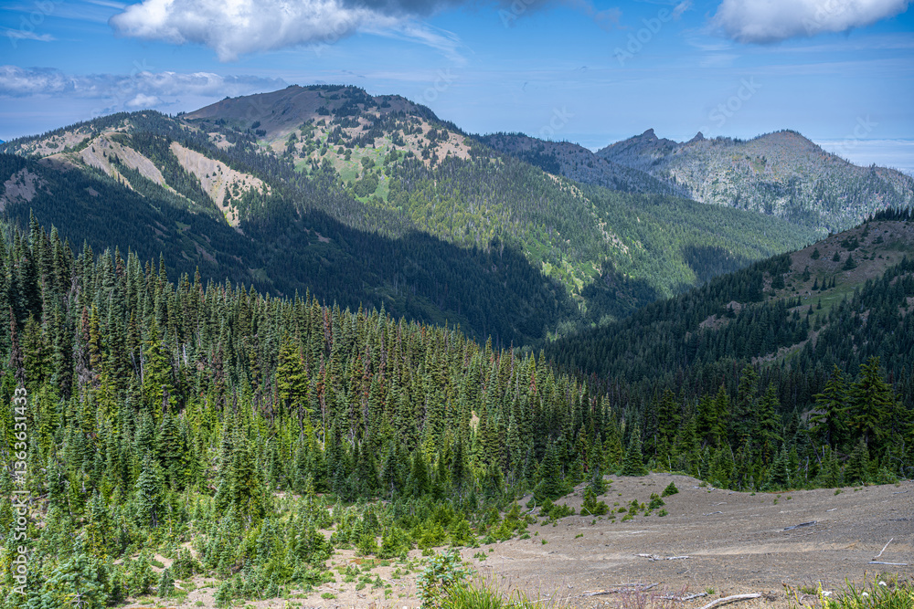 View from the Hurricane Ridge, Olympic National Park, WA
