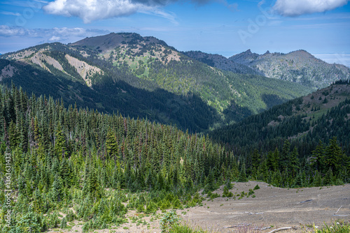 Obraz na płótnie View from the Hurricane Ridge, Olympic National Park, WA w salonie