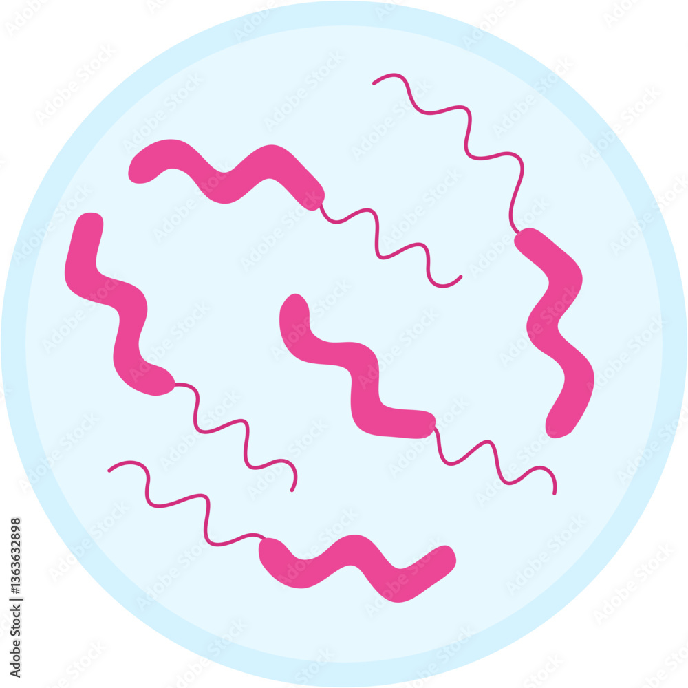Campylobacter icon Campylobacter icon