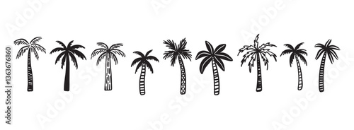 Palm tree tropical nature, vegetation doodle hand drawn icon set. Outline drawing palm tree tropical nature, vegetation line clipart symbol collection