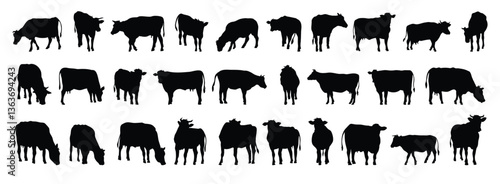 cow and calf silhouette set. cow and calf isolated farm animal silhouette icon vector collection
