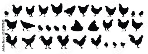 hen or chicken, rooster and chicks silhouette set. hen, rooster and chicks isolated farm animal silhouette icon vector collection
