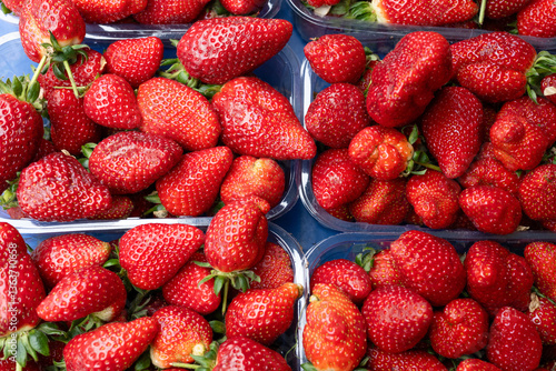 Fresh Strawberries Packed in Plastic Containers
Close-up view of ripe red strawberries neatly packed in plastic trays, ideal for market, grocery, or healthy food themes.

