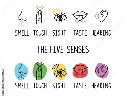 5 human senses illustrations. Taste, sight, touch, smell and hearing. Tongue, eye, finger, nose and ear. Trendy doodle hand drawn thin line icon 