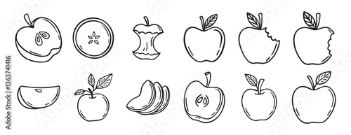  apple doodle hand drawn icon set. Outline drawing apple line clipart symbol collection
