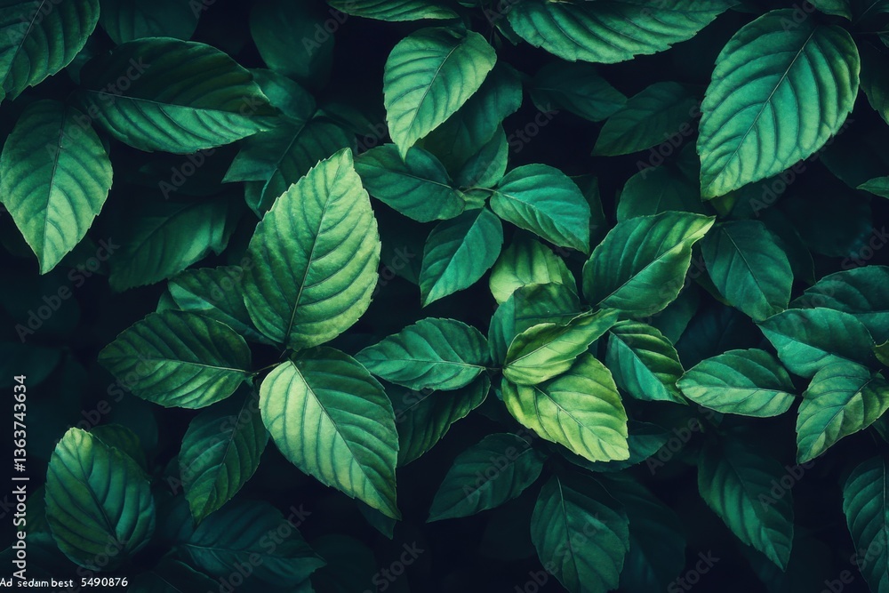 Textured leaf background, close-up, top view, in a dark green tone Textured leaf background, close-up, top view, in a dark green tone