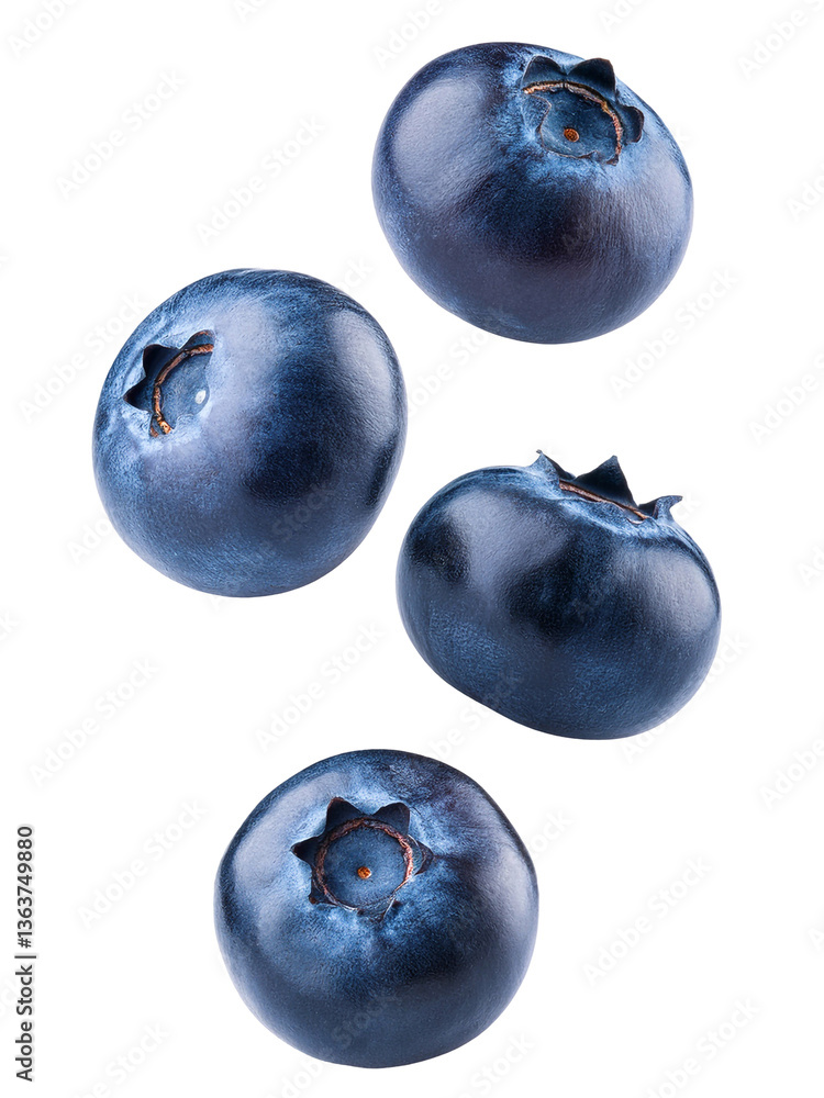 Obraz premium blueberries