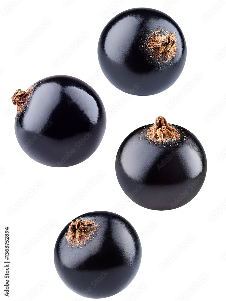 black currants black currants