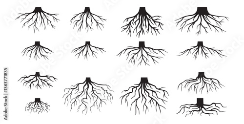Various realistic tree roots, shrub roots. Parts of plant, root system tree stump. Dendrology, woody plants. Sketch doodle drawing.