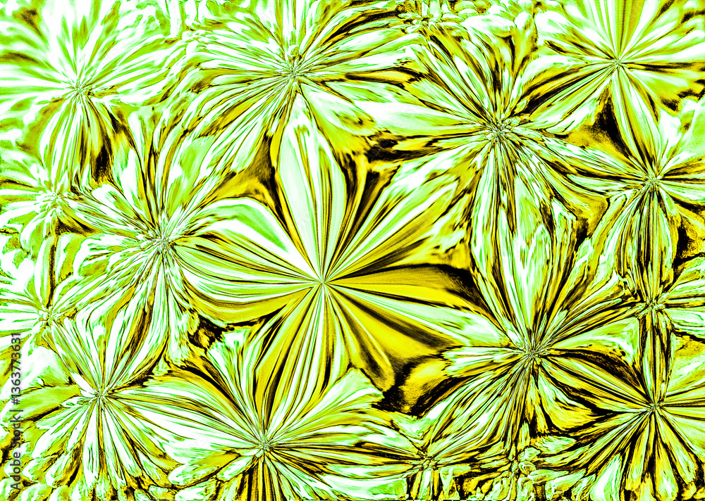 abstract floral background. close up of yellow green flowers and leaves abstract floral background. close up of yellow green flowers and leaves