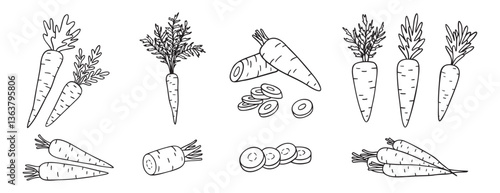 carrots, whole vegetable and piece of carrot doodle hand drawn icon set. Outline drawing carrot line clipart symbol collection