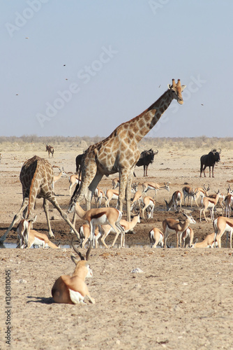 Thirst Knows No Hierarchy