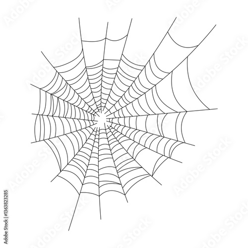 spider web illustration