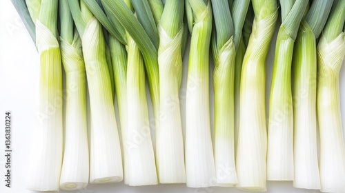 A fanned-out display of neatly trimmed leek stalks