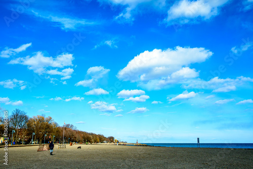 Canvas Print Dogs and people out walking  in spring under bright blue sky and white clouds on
