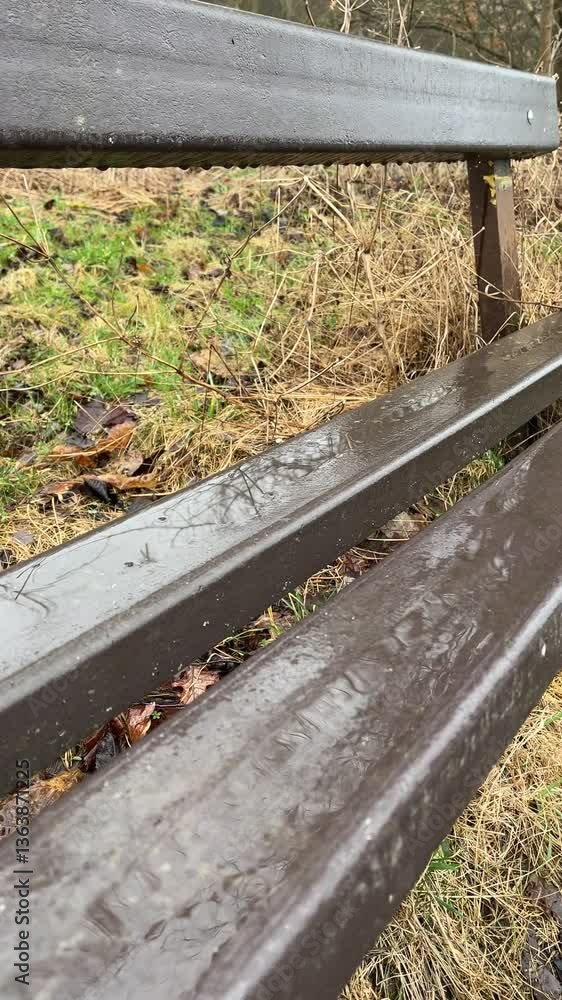 Rain droplets landing on a wet bench in a grassy rural area Rain droplets landing on a wet bench in a grassy rural area
