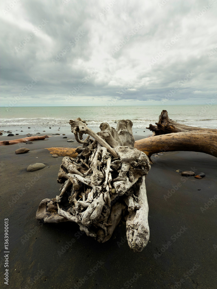 Driftwood on the beach, Taranaki, New Zealand Driftwood on the beach, Taranaki, New Zealand
