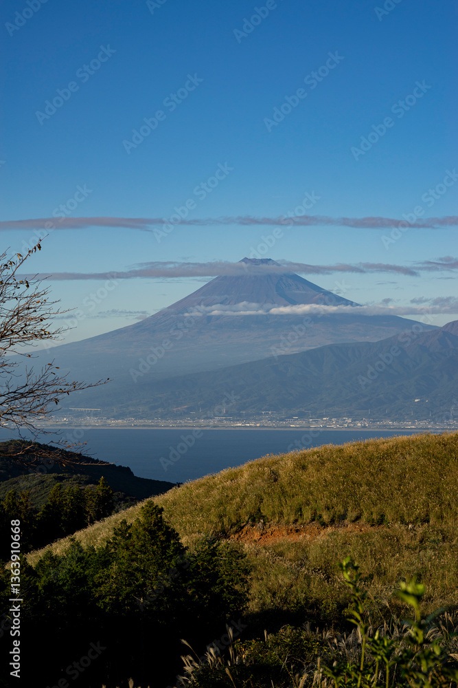 Fototapeta premium 沼津市からみた秋の富士山