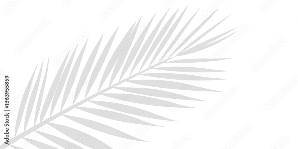 Fototapeta premium An Intricate Shadow of Tropical Palm Leaf Branches Showing in the Lower Left Corner Isolated on a Transparent or White Background