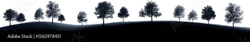 Silhouette of Trees: A monochromatic silhouette showcases trees in a row across a blurred landscape under a simple sky.