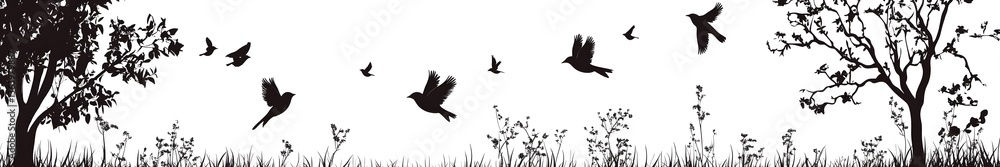 Obraz premium Soaring Silhouettes: A flock of birds takes flight in a scenic illustration, creating a mesmerizing dance against a backdrop of trees and the wide open sky.