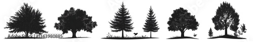 Silhouette of Trees: A collection of diverse tree silhouettes, each with a unique form and texture, elegantly captured against a clean backdrop.