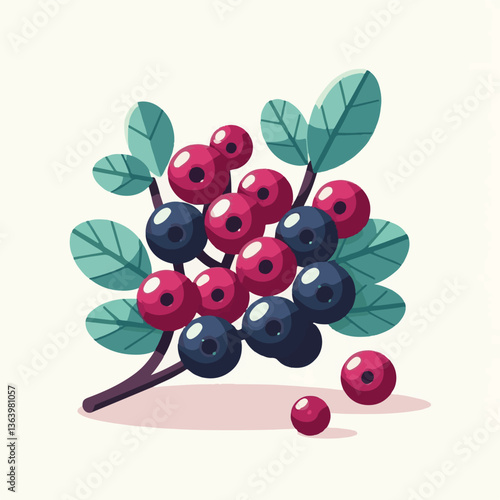 chokeberry, fruit, berry, aronia, nature, leaf, black, plant, ripe, branch, food, healthy, green, garden, natural, fresh, closeup, antioxidant, berries, background, autumn, white, nutrition, leaves, r