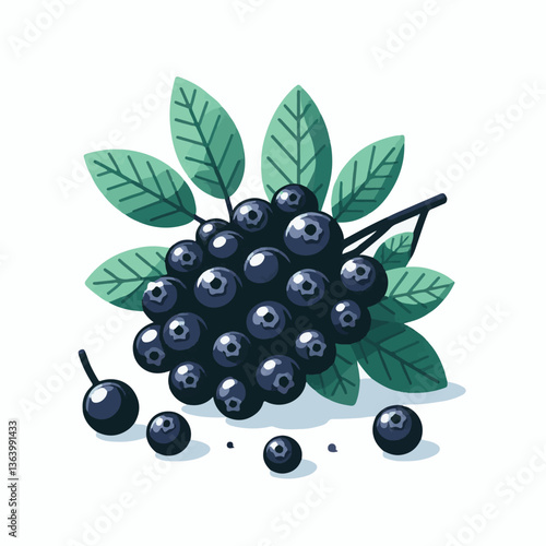 chokeberry, fruit, berry, aronia, nature, leaf, black, plant, ripe, branch, food, healthy, green, garden, natural, fresh, closeup, antioxidant, berries, background, autumn, white, nutrition, leaves, r