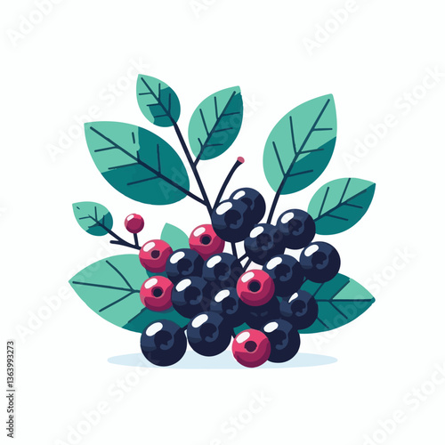 chokeberry, fruit, berry, aronia, nature, leaf, black, plant, ripe, branch, food, healthy, green, garden, natural, fresh, closeup, antioxidant, berries, background, autumn, white, nutrition, leaves, r
