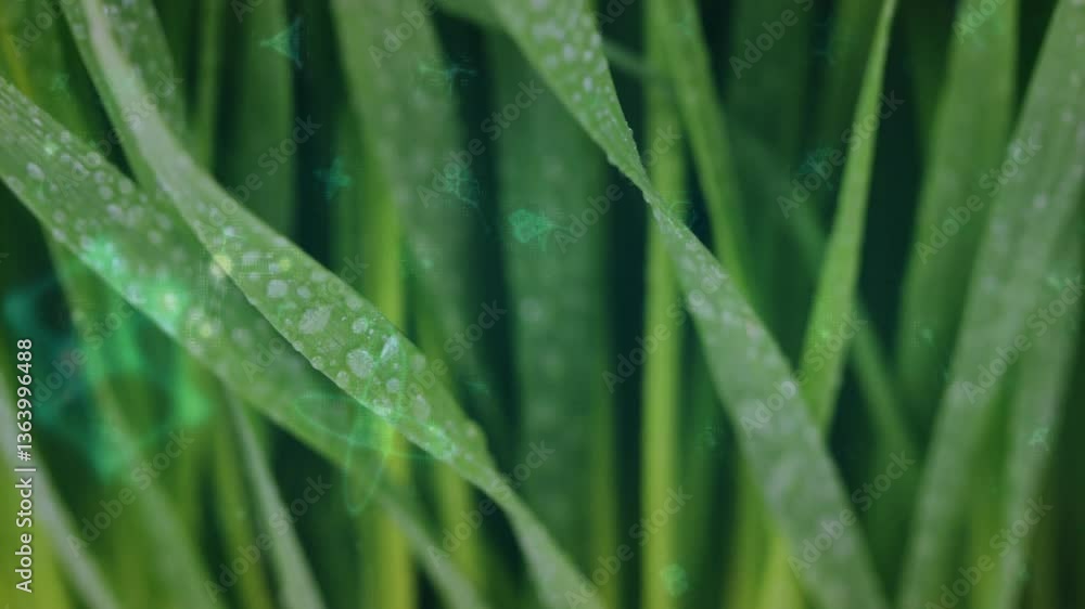 Dew-covered green leaves with subtle glowing animation in natural setting Dew-covered green leaves with subtle glowing animation in natural setting