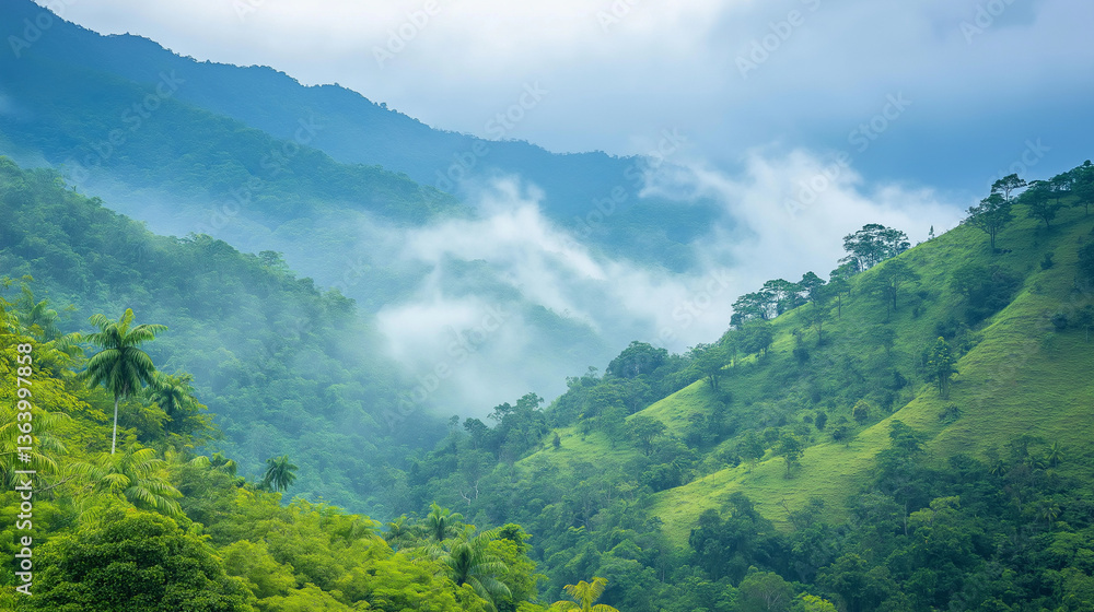 Obraz premium misty tropical rainforest with lush green hills and dense foliage