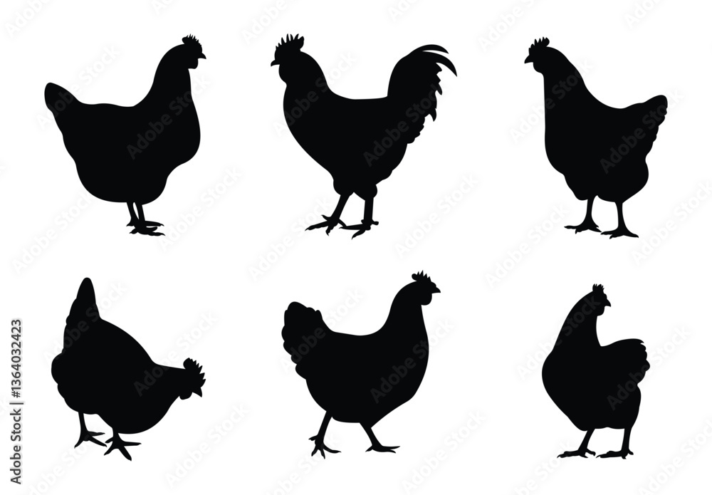 Fototapeta premium silhouette chicken hens