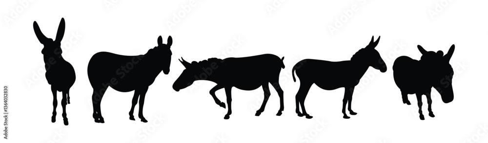 Fototapeta premium silhouette donkey