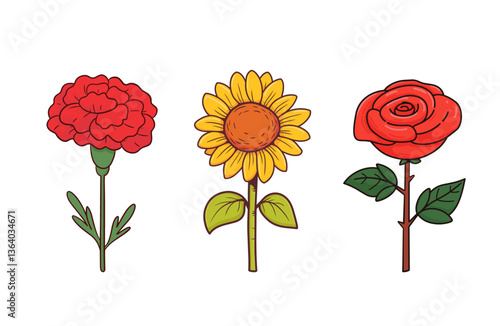 flower illustration collection