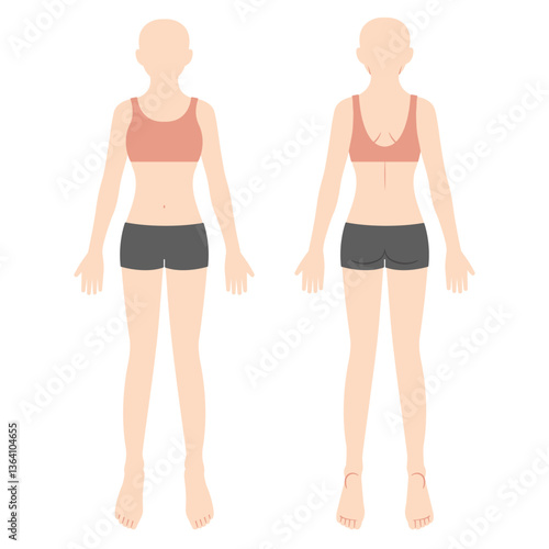 女性の人体図　全身　前面背面