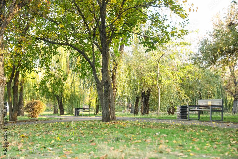 Beautiful autumn park with benches and trees along alley Beautiful autumn park with benches and trees along alley