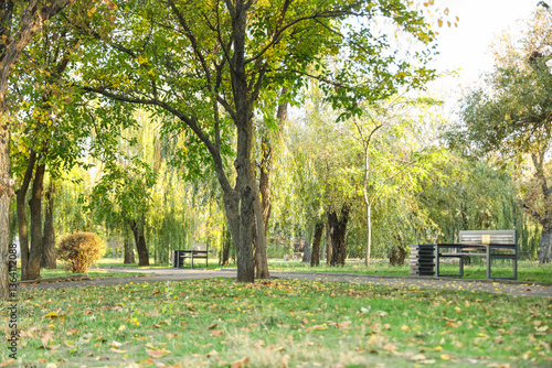 Beautiful autumn park with ...