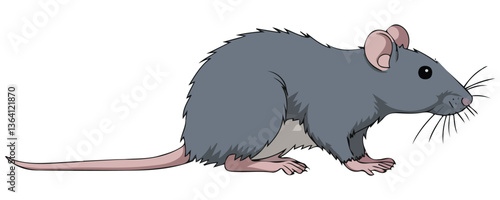 Wild brown rat vector
