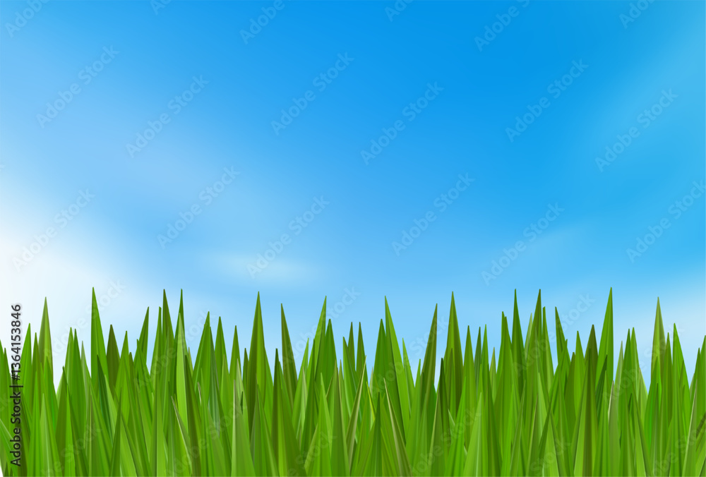 Fototapeta premium Grass green header border. Spring summer sunny landscape. Football meadow nature plant. Abstract grassland hill. Realistic light cloudy blue sky, 3d field park sunrise. Turf reed bush, eco farm vector