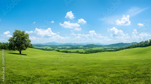 Panoramic View Of A Green Field Under A Bright Blue Sky With Scattered Clouds And A Lone Tree