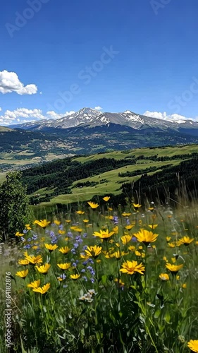 Vibrant wildflowers bloom in the foreground with majestic mountains under a clear blue sky in Colorado