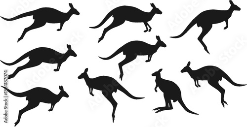 Set of Kangaroo Silhouette Vector Collection