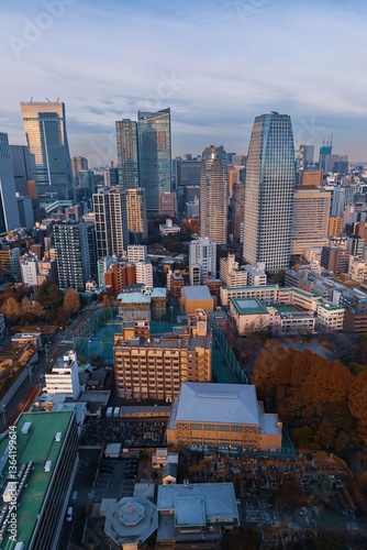 Daytime View Of Buildings In The Tokyo Metropolis