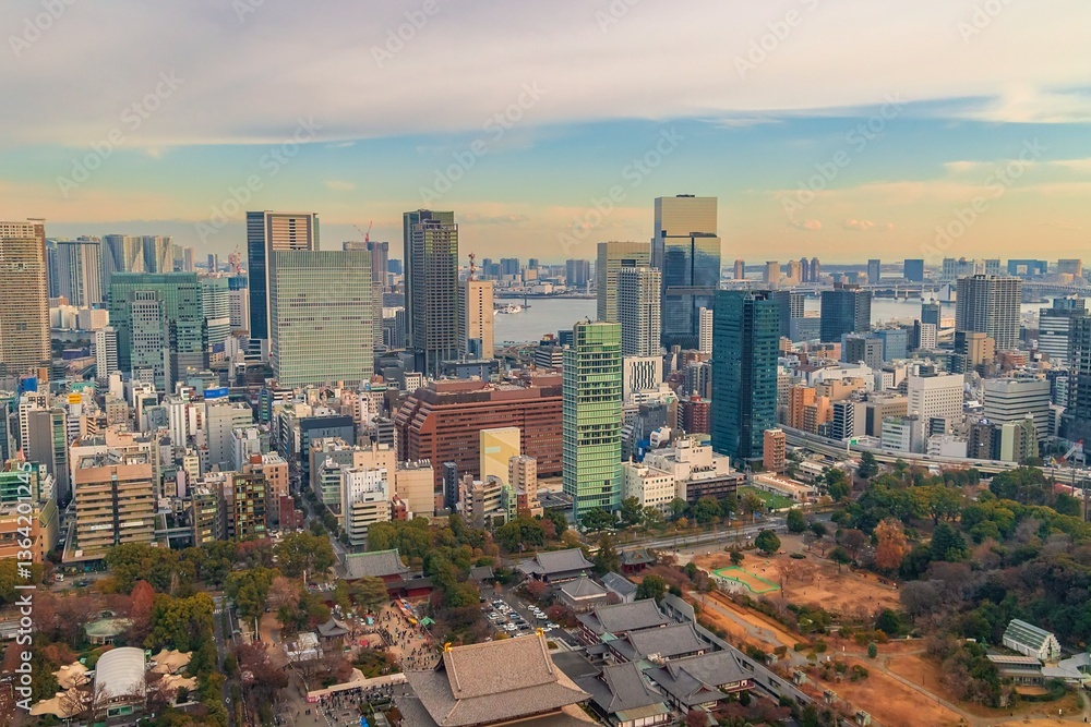 Fototapeta premium Tokyo Metropolis On A Cloudy Day