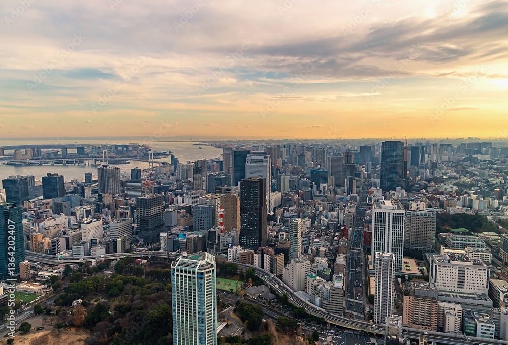 Fototapeta premium View Of The City Of Tokyo From An Observatory