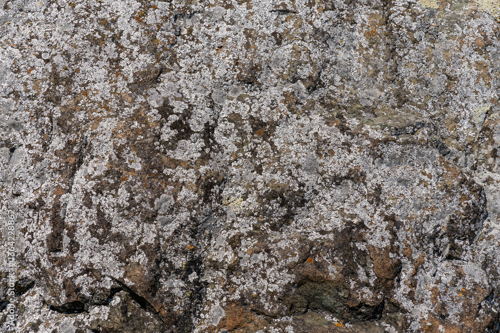 Naklejka premium rock texture with cracks stone background with copy space for design