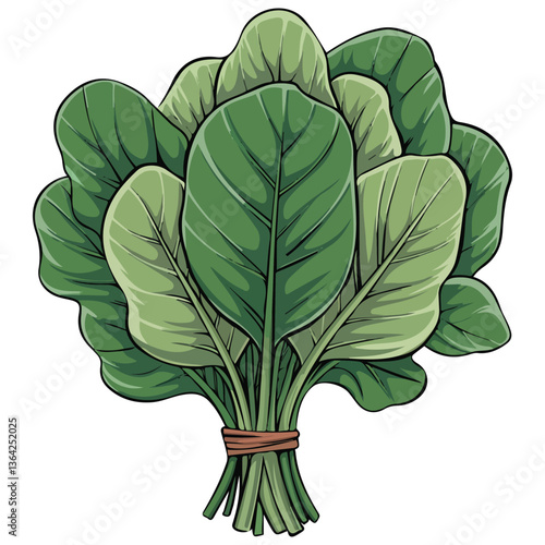 Fresh spinach leaves