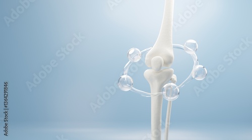 фотографія 3D joint model with clear fluid spheres highlights cartilage hydration, support, and smooth mobility against a soft blue backdrop