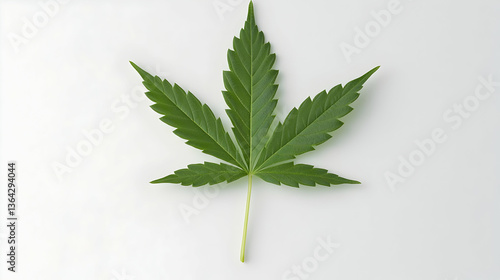 Close Up Green Cannabis Leaf On White Background